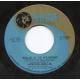 Hank Williams Jr.: All for the Love of Sunshine / Ballad of the Moonshine